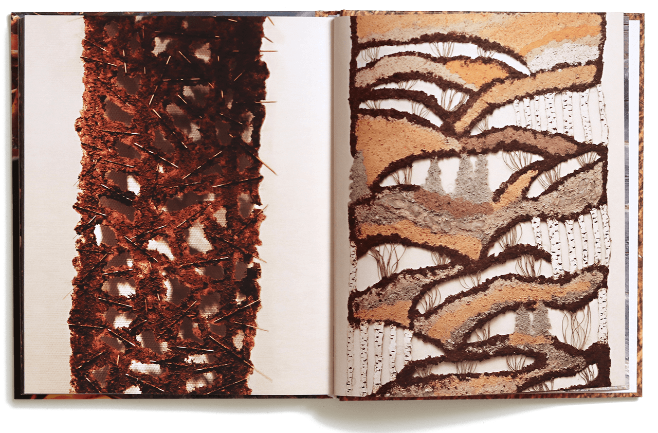 Seenemaagia ehk värv ja paber seentest raamatu sisevaade